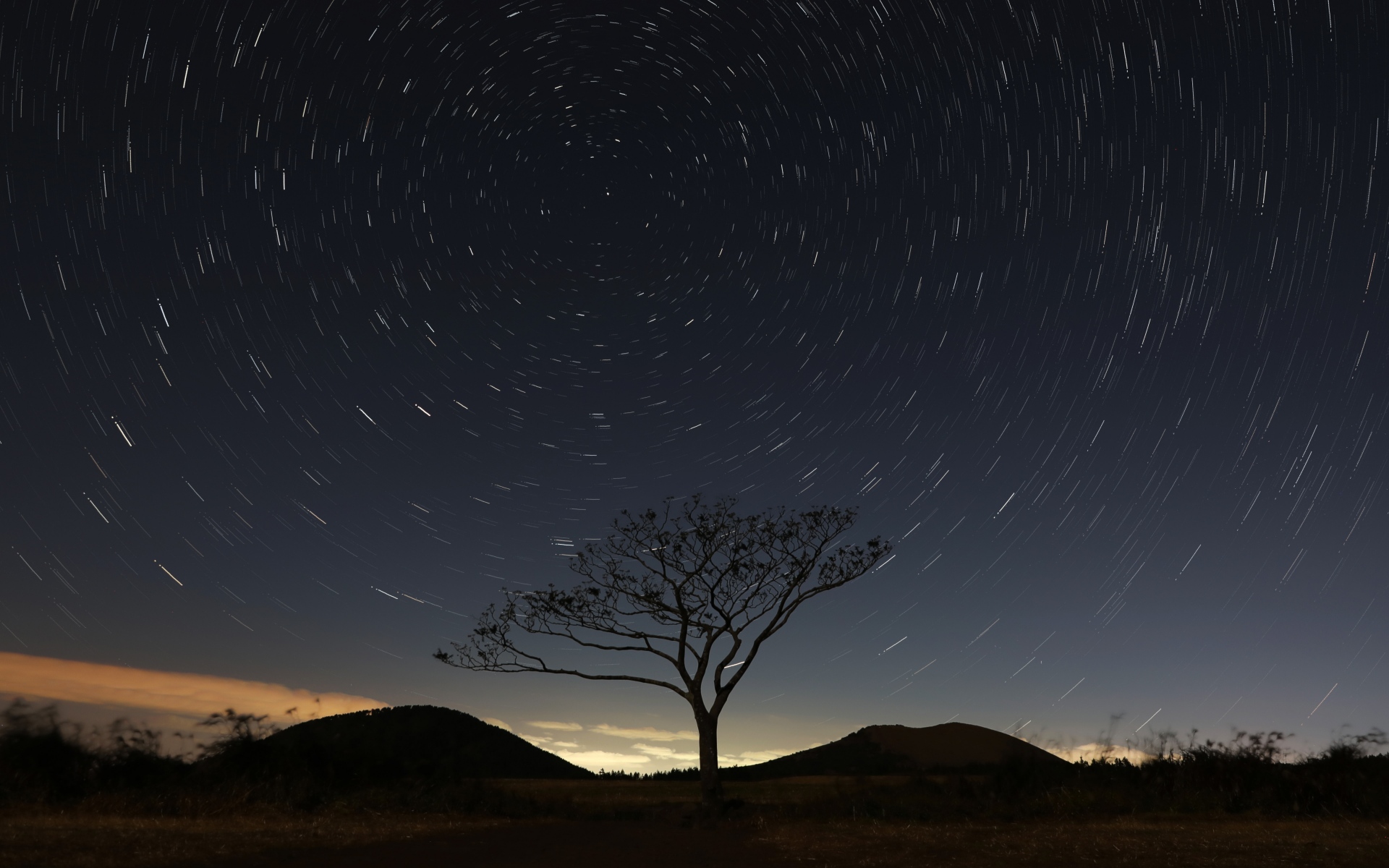 合法查询个人信息的两个网站推荐｜2024最新有效查询平台指南