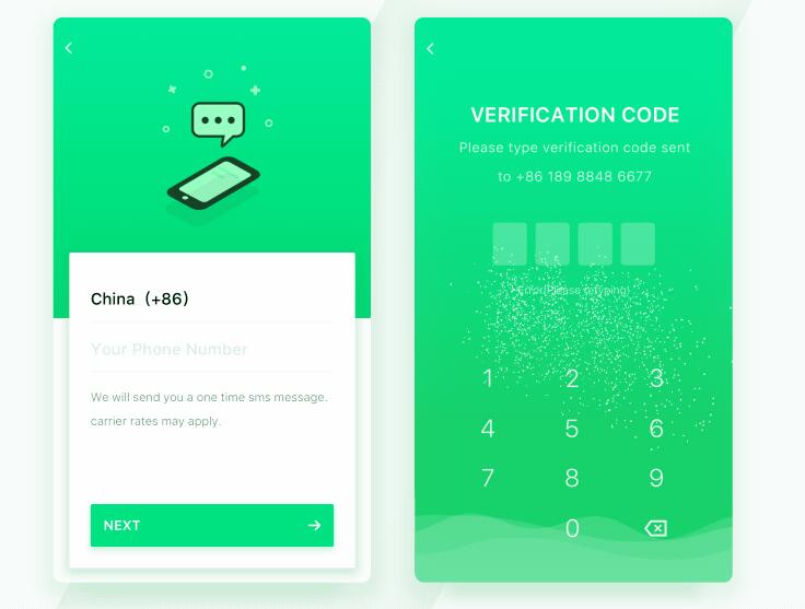 如何通过姓名和身份证查询个人信息的详细方法与注意事项